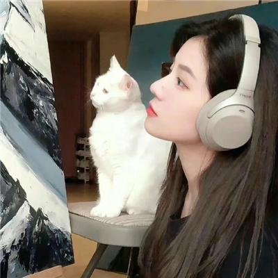 心宅猎人
