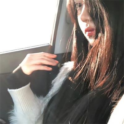 完美伴侣